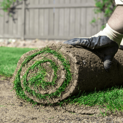 SOD INSTALLATION SERVICES