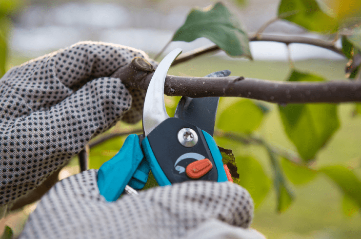 Roberth Tree & Concrete Services