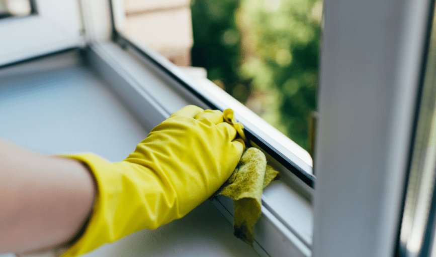 INTERIOR WINDOW CLEANING