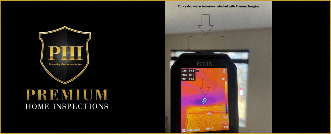 Thermal Imaging Survey