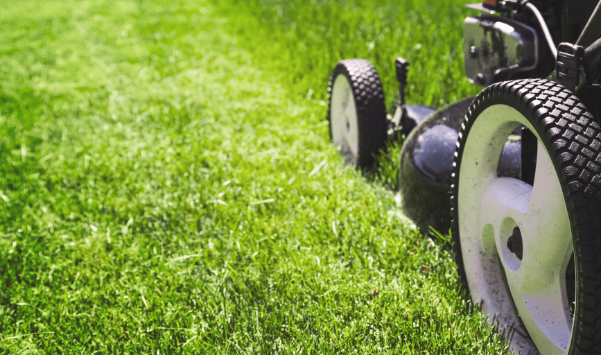 Springsteen Services 