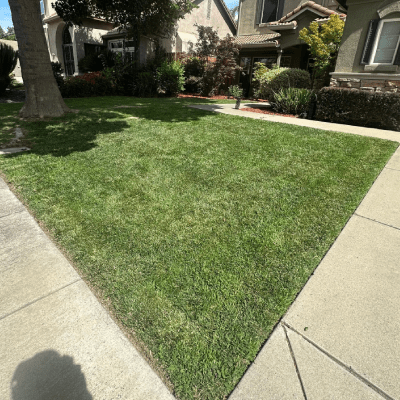 LAWN MOWING
