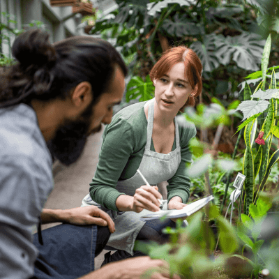 GARDEN PLANNING