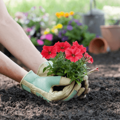 GARDEN DESIGNING