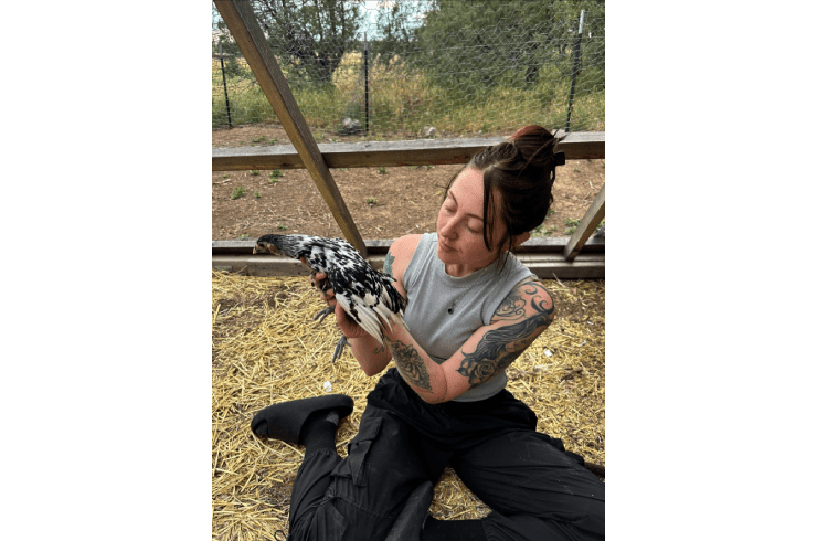 Karlye's Monument Cleaning