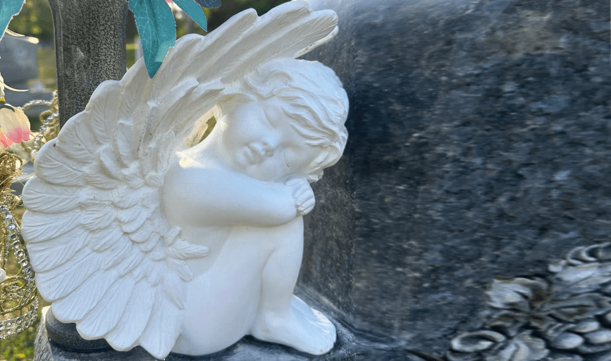 MONUMENT CLEANING SERVICE