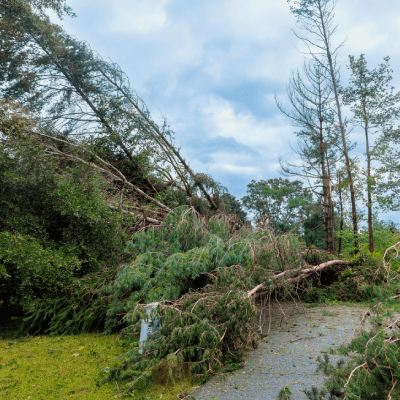 STORM DEBRIS REMOVAL