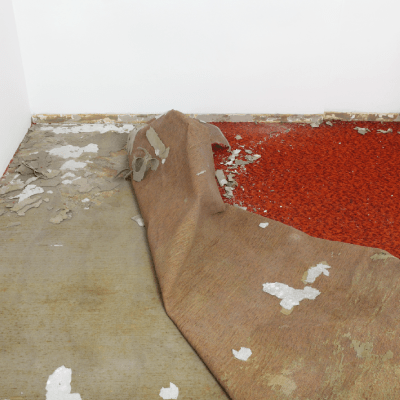 CARPET REMOVAL