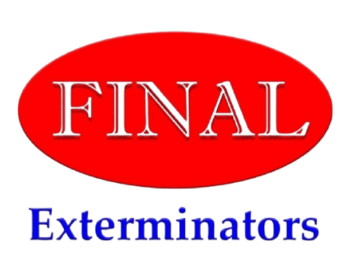 Final Exterminators