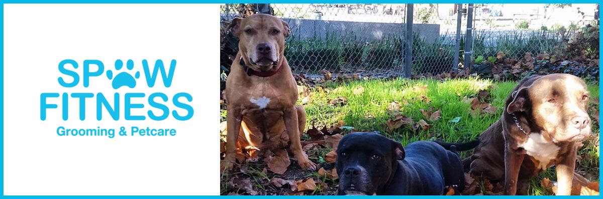 Home Visits / Boarding 