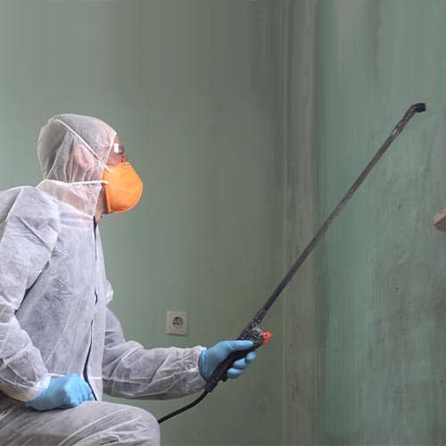 Biohazard Cleaning