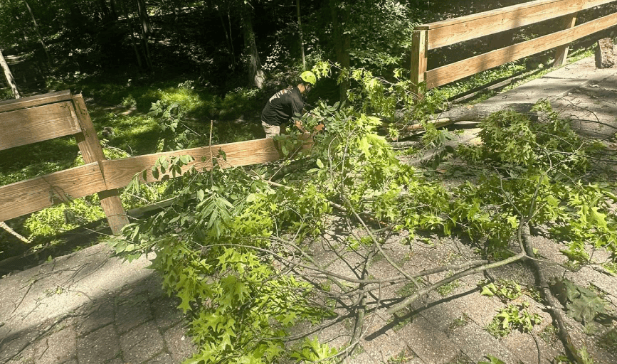 STORM CLEANUP