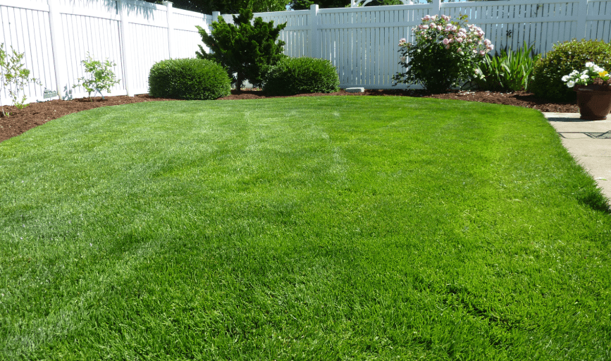 Buddyroe's Landscape and Lawn
