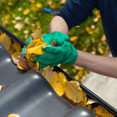 GUTTER CLEANING