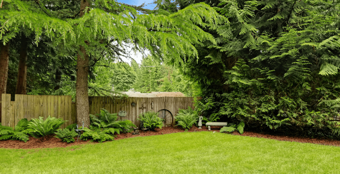 Father and Son Landscaping