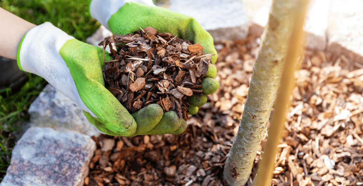 Father and Son Landscaping
