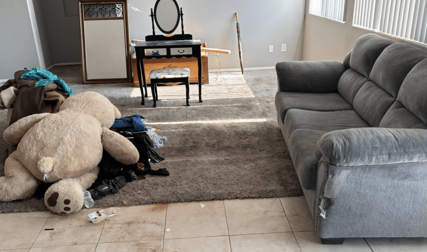 RESIDENTIAL JUNK REMOVAL