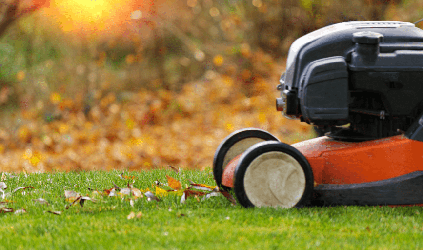 LAWN CARE SERVICES