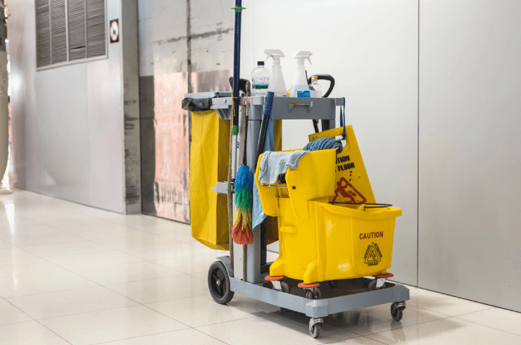 Spotless House Cleaning