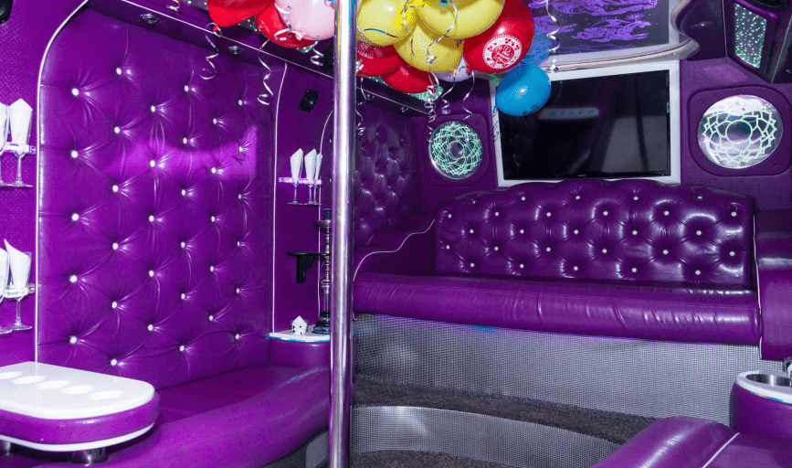 PARTY BUS RENTAL