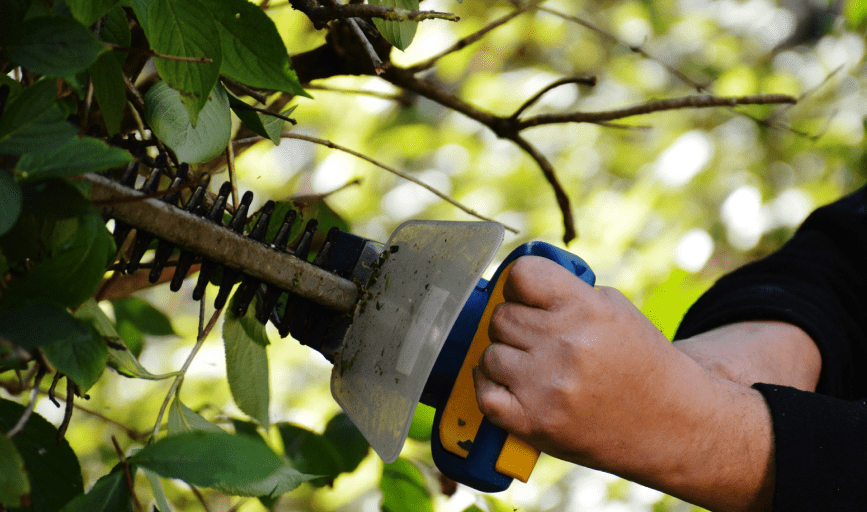 BUSH TRIMMING SERVICES