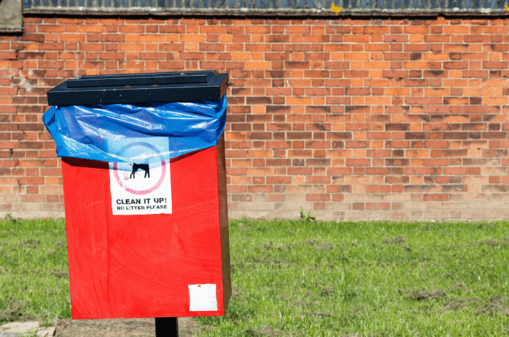 Super Duper Scoopers 