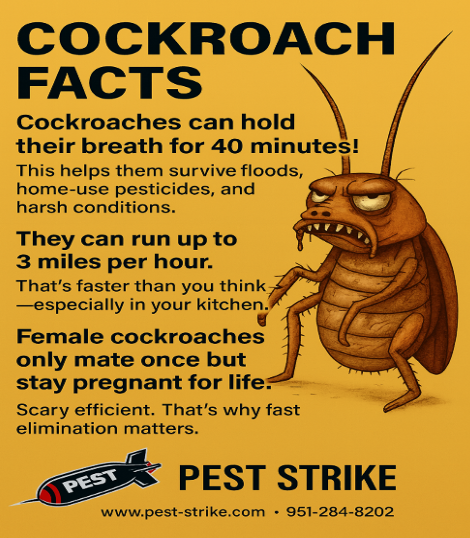 Cockroach Facts