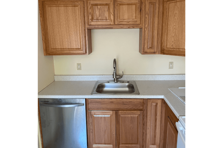 Pro Handyman Services