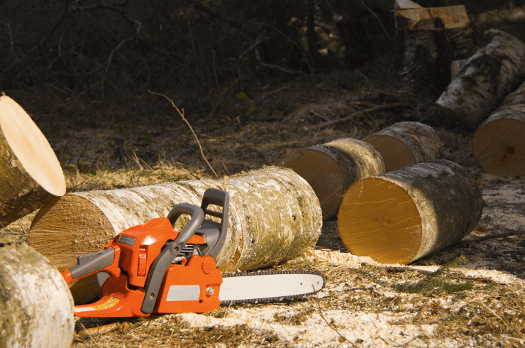 All Around Tree Service