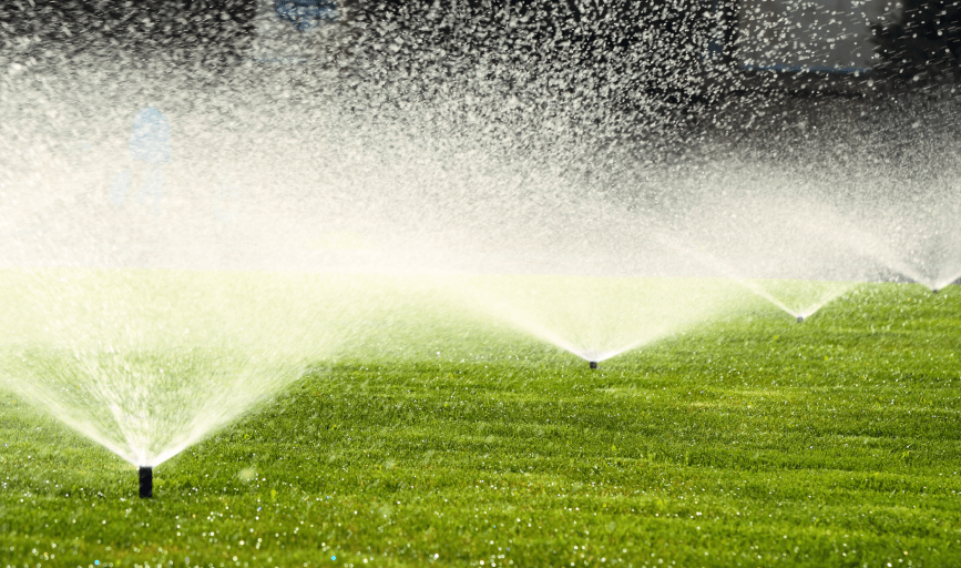 All Around Tree Service