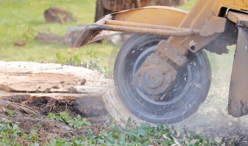 STUMP GRINDING SERVICES