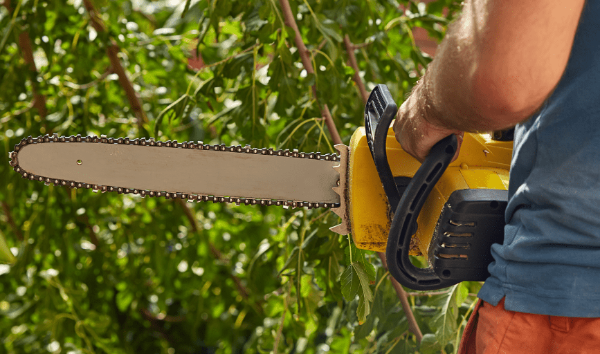 TREE TRIMMING SERVICES