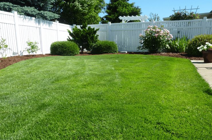 Regular Schmoez Lawn & Landscaping