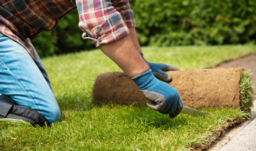 SOD INSTALLATION
