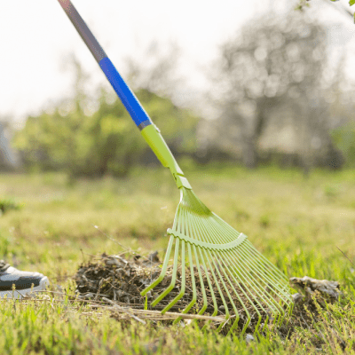 YARD CLEANUP