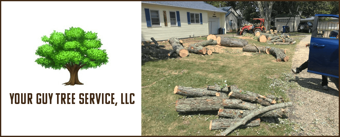 Tree Removal