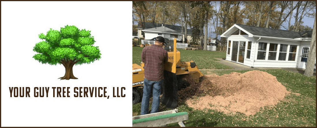 Stump Removal