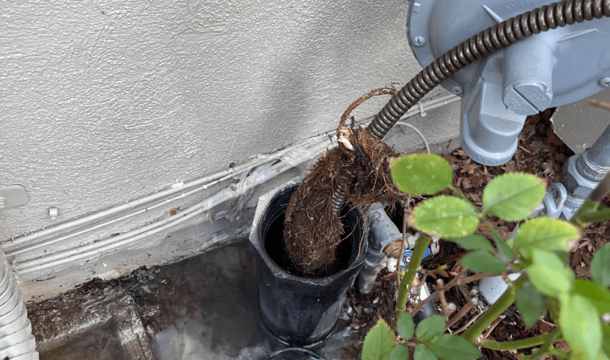 CLOGGED DRAIN REPAIR