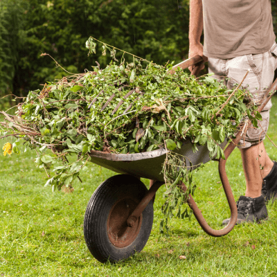 YARD WASTE REMOVAL