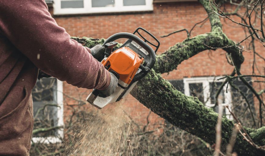 TREE TRIMMING SERVICES