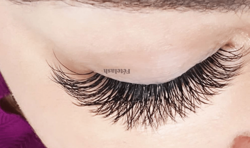 VOLUME LASHES
