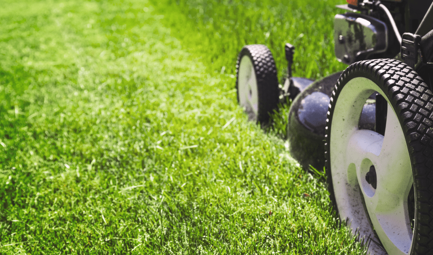 LAWN MOWING SERVICES