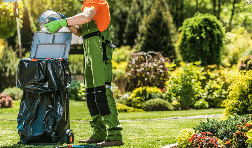 YARD CLEANUP SERVICES