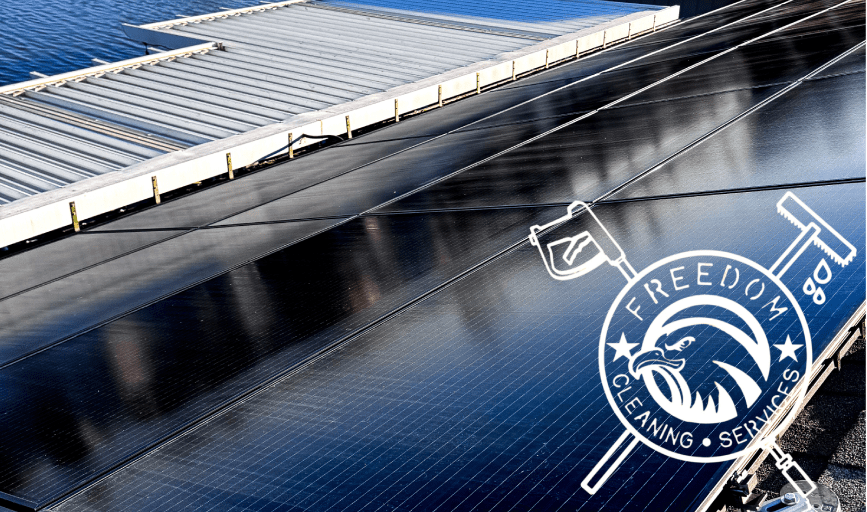 SOLAR PANEL CLEANING