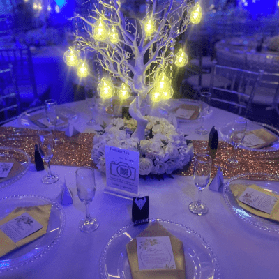 WEDDING VENUE