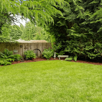 YARD DEODORIZING SERVICE