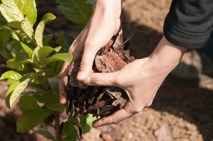 River Art Landscaping Design