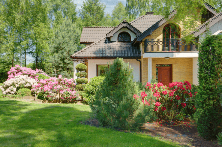 Real Steal Landscaping Tree Service