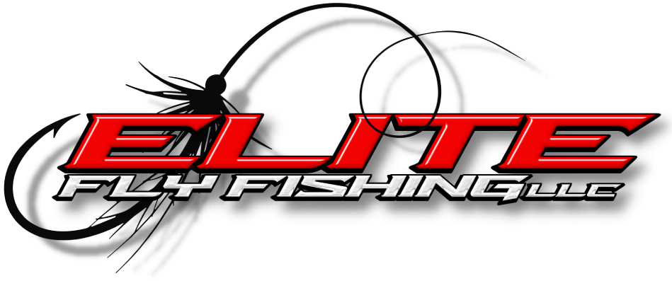 Elite Fly Fishing