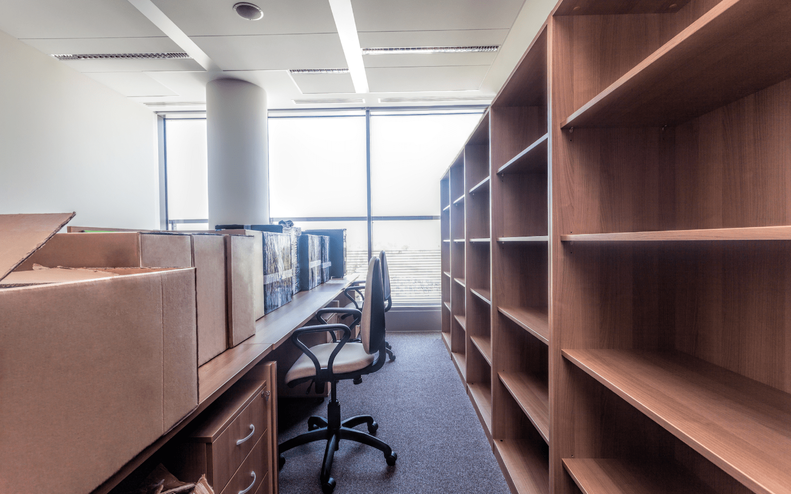 Move-In Cleaning Services